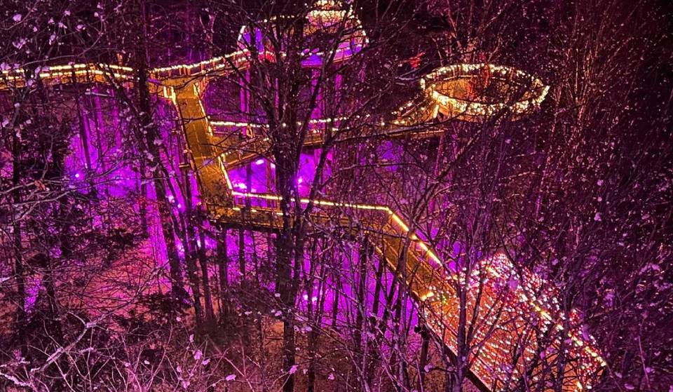 Einer der höchsten Baumkronenpfade im Nordosten der USA ermöglicht es Ihnen, in 30 Metern Höhe durch den verschneiten Wald zu spazieren, nur eine kurze Fahrt von New York City entfernt – mit beleuchteten Wegen, Bergblick und einzigartigen Tierbeobachtungen.
