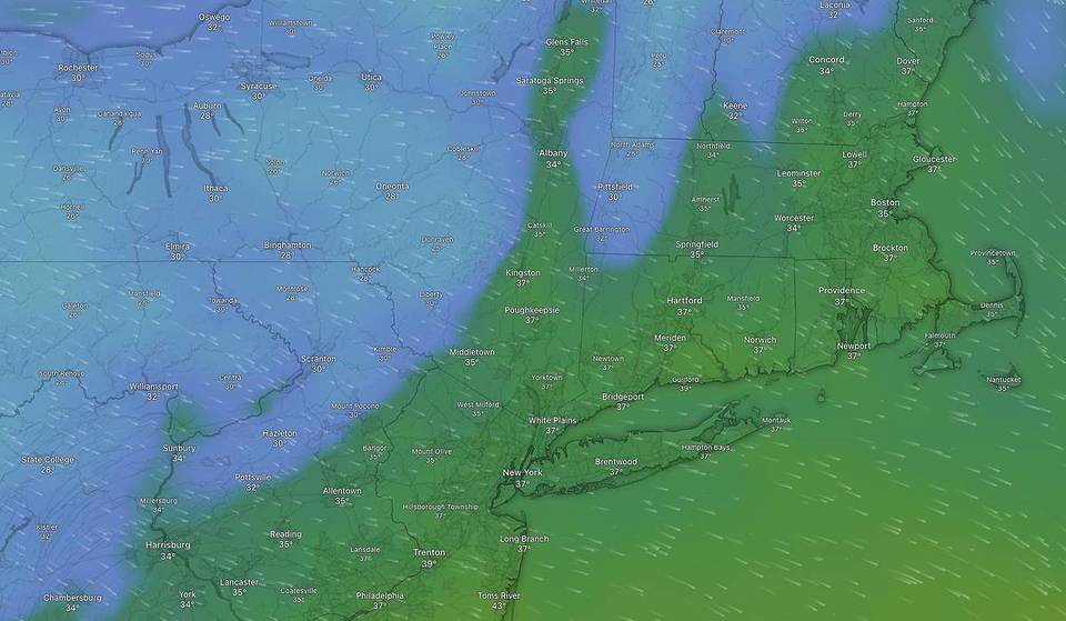De ‘dodelijke’ koudegolf in NYC is voorbij nu de temperatuur deze week naar de 40 graden gaat stijgen.