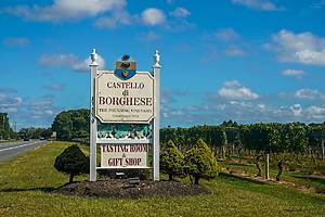 CUTCHOGUE, NEW YORK - OCTOBER 1, 2019: Castello di Borghese Vineyard and Winery in Long Island, New York