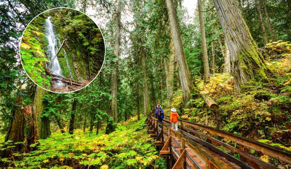 Dit 2000 jaar oude ‘oerbos’ is een van ’s werelds beste wellnessbestemmingen, met bergwandelingen, watervalroutes en winkels met inheemse ambachtelijke producten.