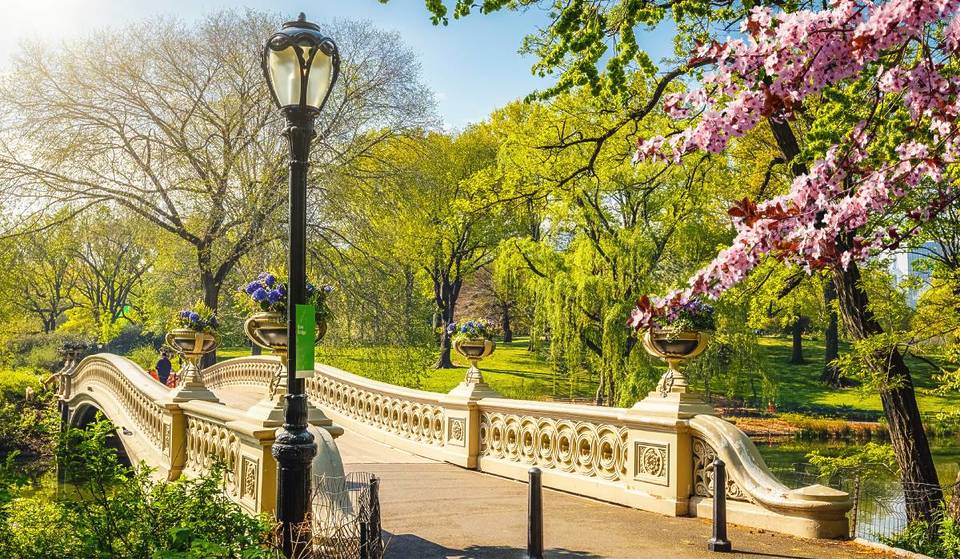 NYC’s 20 Best March Happenings—St. Patrick’s Day, A Harry Styles Pop-Up, Free Art Shows, &amp; More