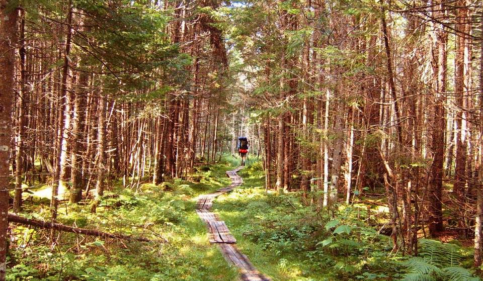 Este pequeño pueblo de Nueva York, a solo 4 horas de la ciudad de Nueva York, es la «puerta secreta» a 225 kilómetros de naturaleza salvaje en estado puro.
