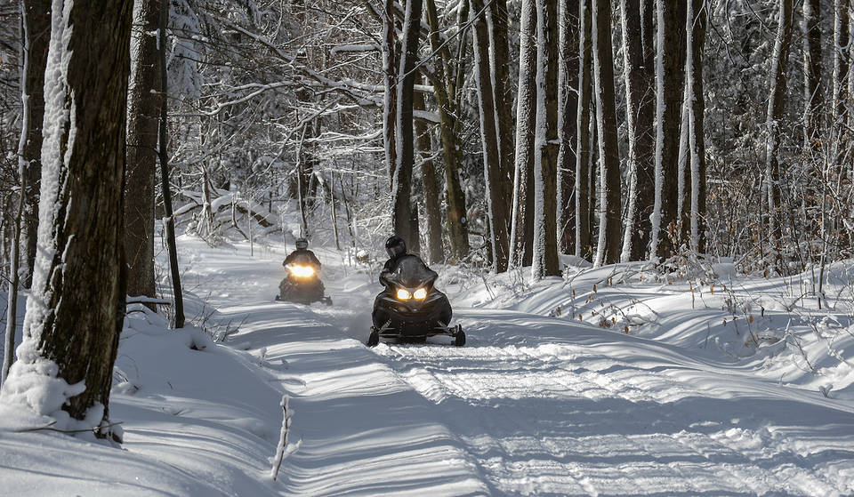 This 15,000-Acre Winter Forest In Upstate NY’s Catskills Has Frozen Ponds, Miles Of Snowshoeing Trails & Total Solitude