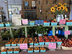 market at Old Bethpage Village Restoration
