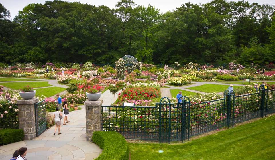 Tras 135 años de floración, este jardín de Nueva York acaba de ser nombrado el más bonito del mundo.