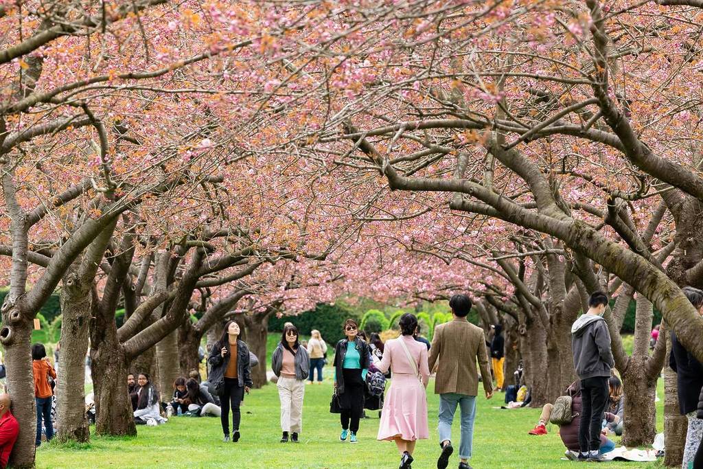 The Best Things To Do In NYC This Spring 2026: Cherry Blossoms, Museum Openings, Food Festivals &amp; More
