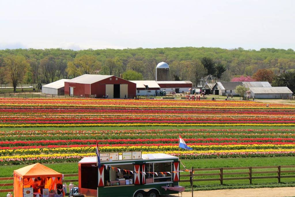 Holland Ridge Farms