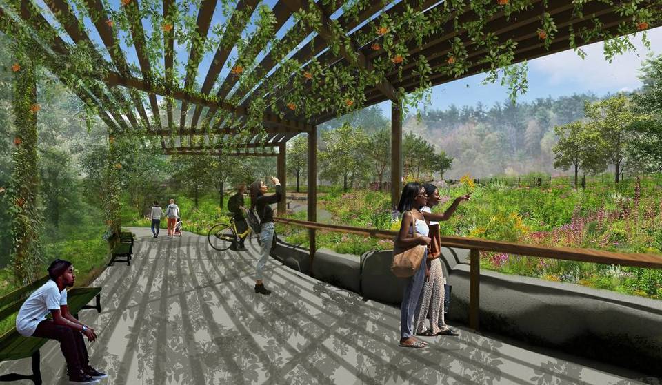 Nueva York por fin está reviviendo este oasis escondido de Prospect Park: con exuberantes jardines, senderos boscosos y un tranquilo refugio de 8 acres que llegará muy pronto