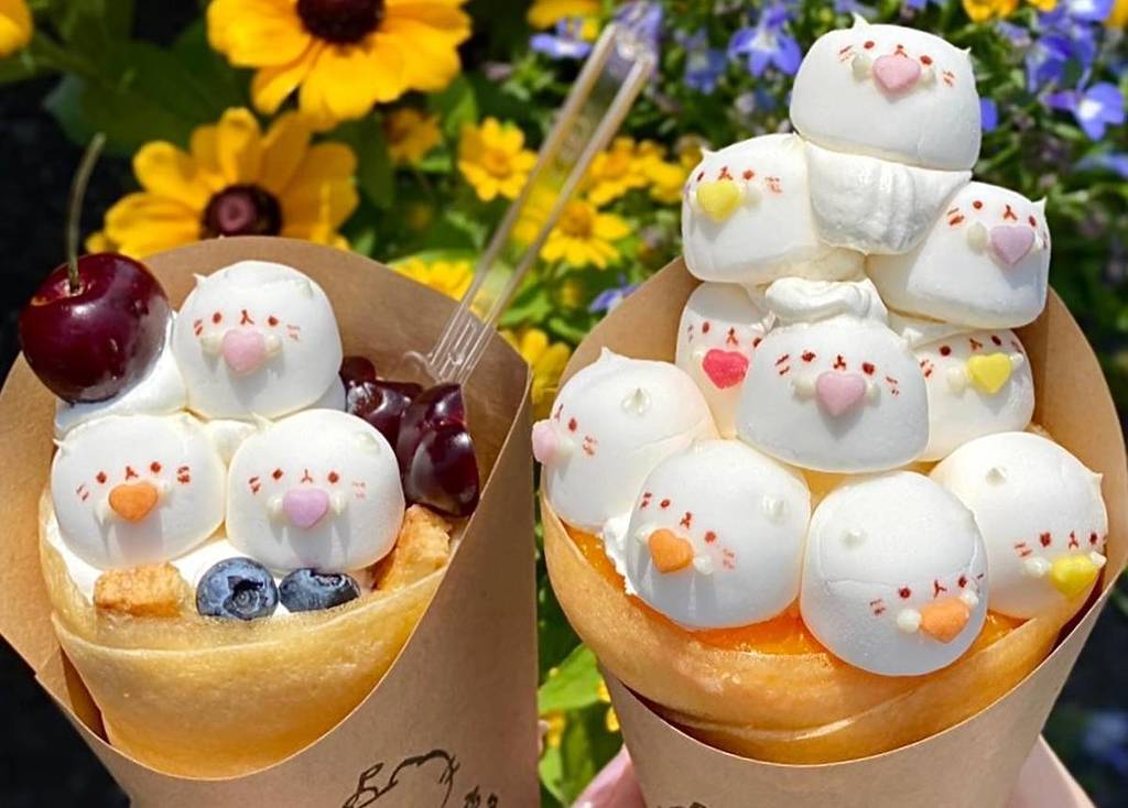 food from JAPAN Fes