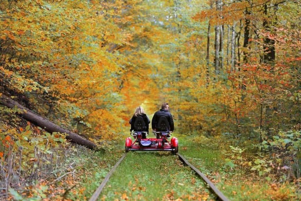 Once A Historic 1913 Railroad, This Surreal Catskills Trail Lets You Glide Through Forests On Pedal-Powered Rail Bikes