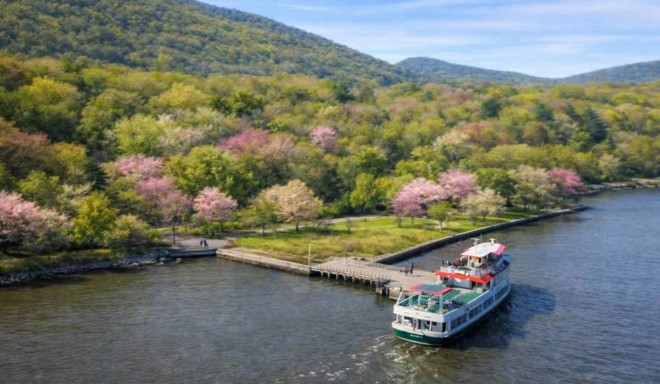 Diese neue 8-stündige Bootsfahrt von NYC führt zum „Spring Superbloom“ im Upstate NY am Bear Mountain – inklusive Brunch mit Alkohol und Live-Musik