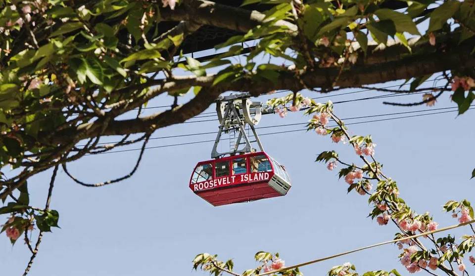 Il segreto per vedere i migliori ciliegi in fiore di New York non è a terra, ma fluttua a 75 metri sopra l’East River — Come goderti una vista aerea dei fiori in fiore per soli 2,90 dollari