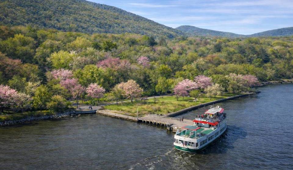 This New 8-Hour Boat Cruise From NYC Leads To Upstate NY’s ‘Spring Superbloom’ at Bear Mountain — With Boozy Brunch &amp; Live Music Too