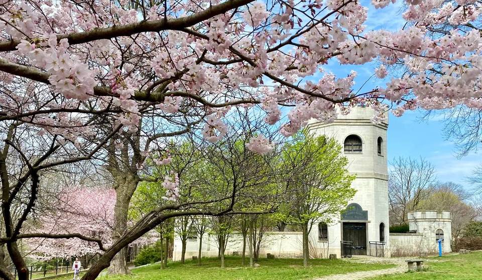 One Of The Most Beautiful Gardens In America Is Tucked Away In This Fairytale NYC Cultural Center — And It’s Perfect For Cherry Blossom Season