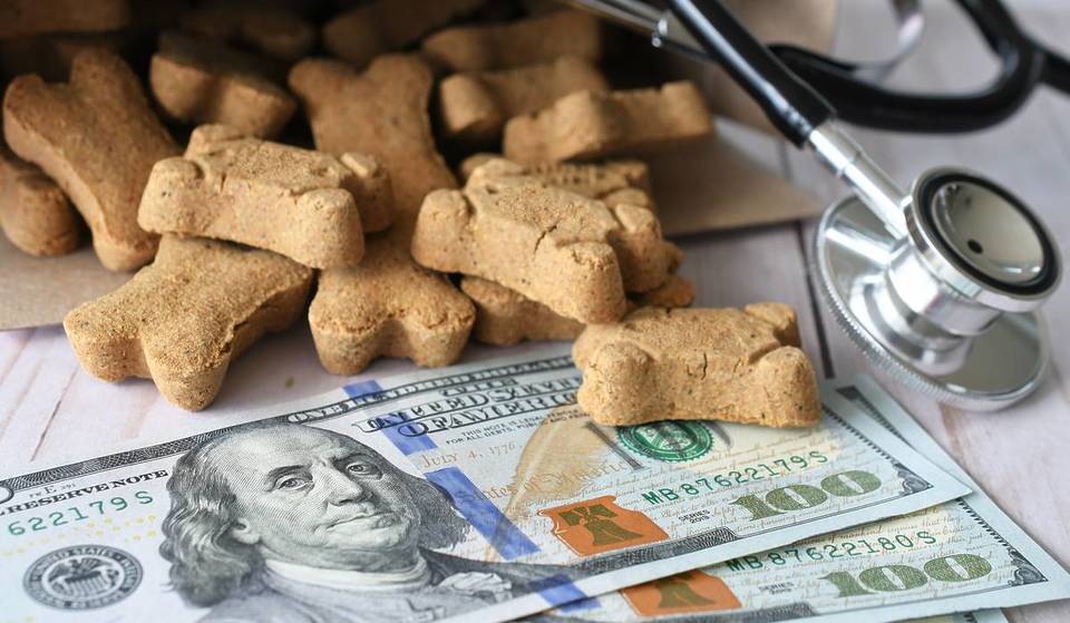 Les propriétaires d&rsquo;animaux de compagnie à New York pourraient réclamer jusqu&rsquo;à 900 $ de remboursement lors de la période des impôts : voici qui est éligible