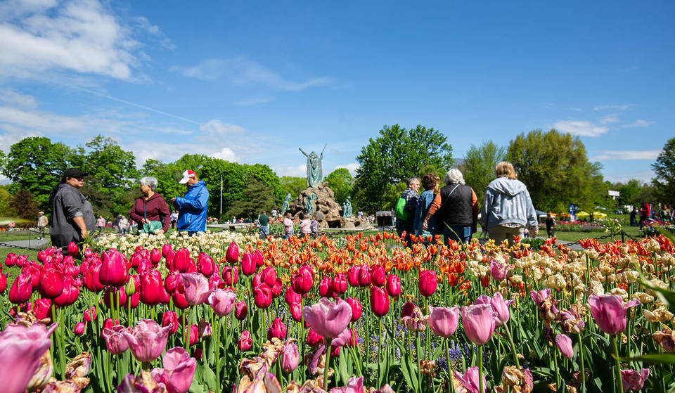 This Scenic $47 Amtrak Ride From NYC Leads To A Massive Upstate NY Tulip Festival — 180,000 Blooms Returning For One Weekend Only