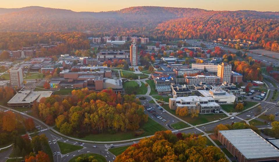 Die beste „Public Ivy“ in New York ist nur 3 Stunden von NYC entfernt – mit einem Zulassungsverfahren, das genauso hart umkämpft ist wie an privaten Elite-Hochschulen