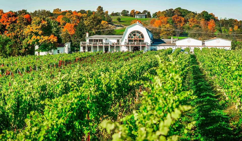 Ce superbe domaine viticole près de New York ressemble à une « Toscane miniature » — avec ses collines vallonnées, sa vue de conte de fées et un salon vinyle secret pour le printemps