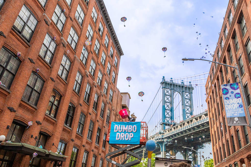 Dumbo Drop