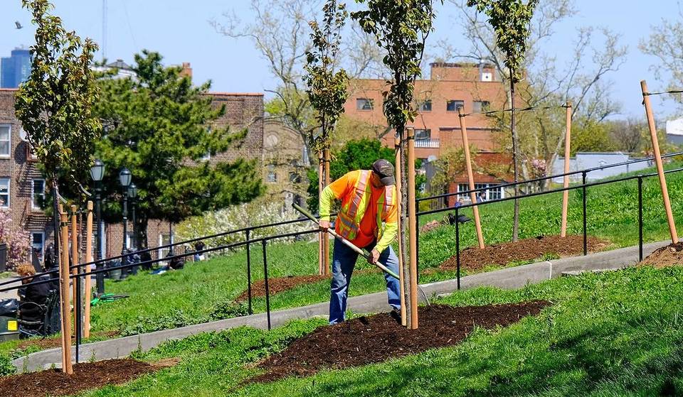 New York vient de dévoiler un gigantesque « plan de forêt urbaine » pour planter des millions d’arbres et rafraîchir la ville