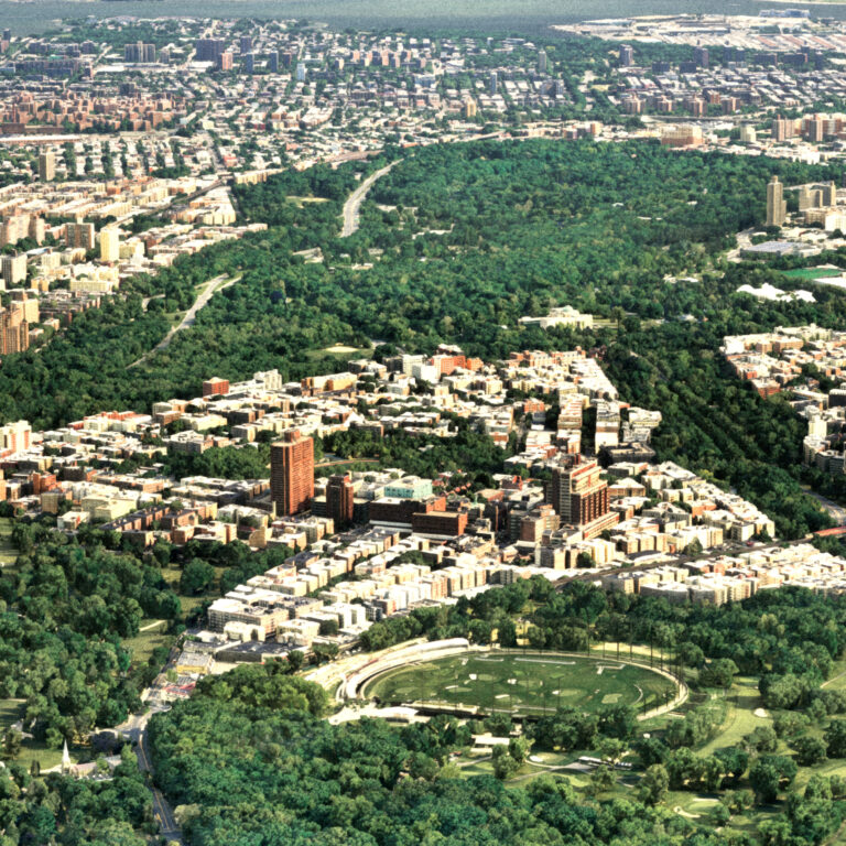 Mostra "Before New York" NYBG