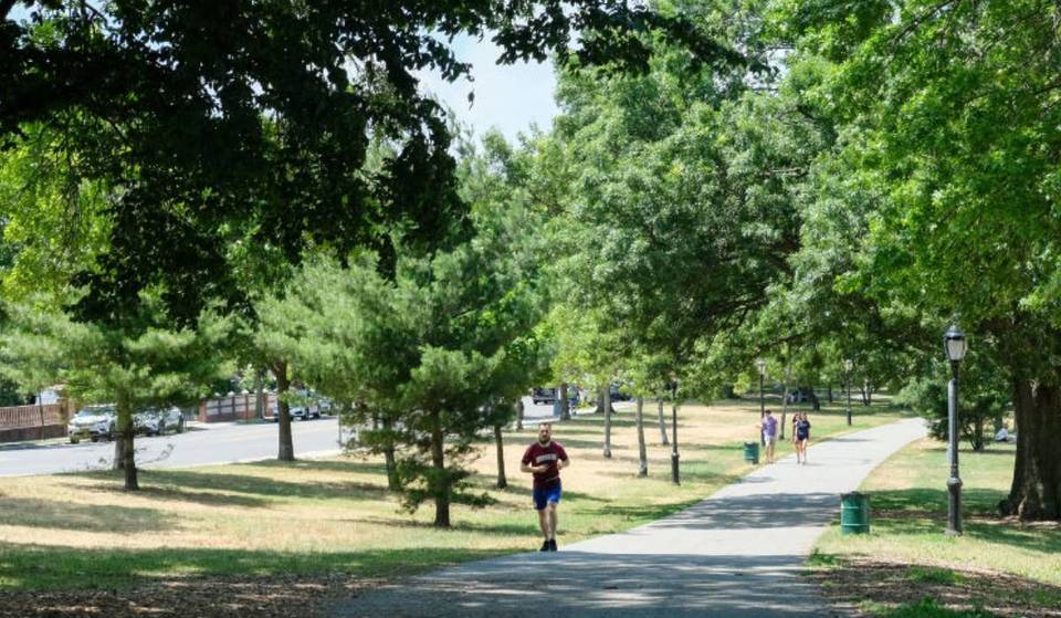 Dieser „versteckte Oasen“-Park in Queens veranstaltet den ganzen Sommer über ein riesiges kostenloses Festival – mit Filmen unter dem Sternenhimmel, mitreißenden Konzerten und einem italienischen Festmahl