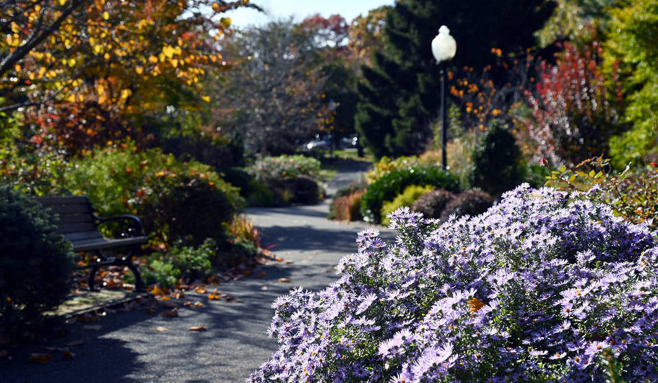 This 690-acre ‘museum of trees’ near NYC just hit peak tulip bloom this week — the underrated state park features a scenic cypress trail &amp; hidden tea library