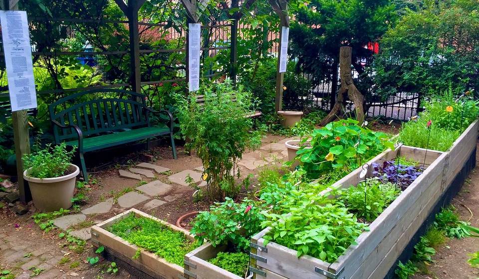 Deze enorme, verborgen oase van 1650 vierkante meter in NYC organiseert dit weekend zijn grootste planten- en bakkerijverkoop van het jaar