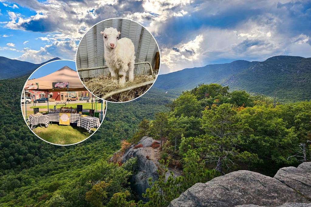 Una delle gemme nascoste più tranquille dello Stato di New York si trova proprio ai piedi di una montagna delle Adirondacks, su 42,5 acri vicino a una cascata mozzafiato — e quest’estate organizzano tour immersivi della fattoria