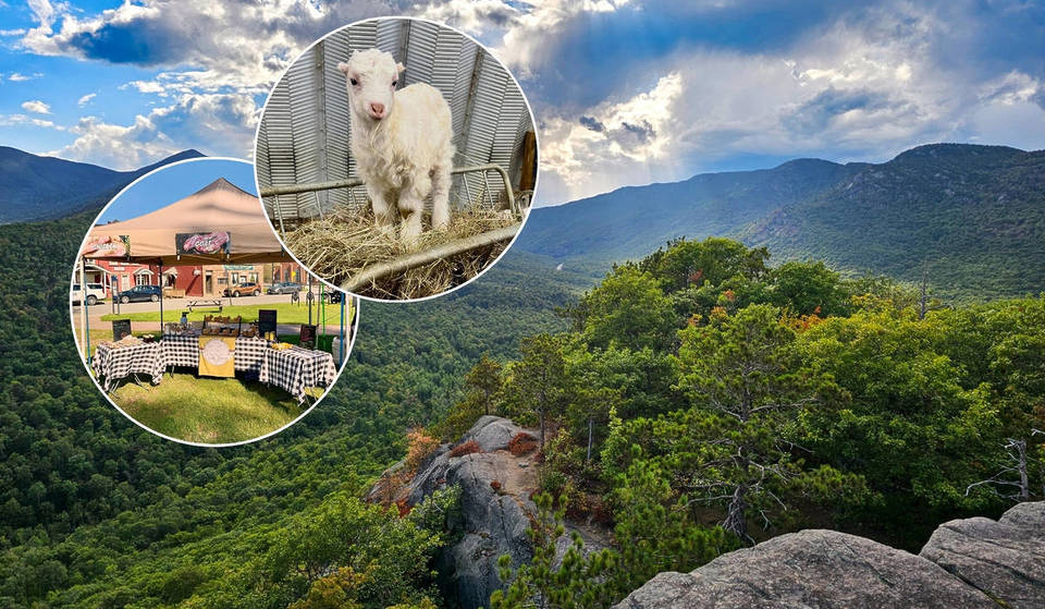 Eines der ruhigsten versteckten Juwelen im Upstate NY liegt direkt unterhalb eines Adirondacks-Berges auf einer Fläche von 42,5 Acres in der Nähe eines atemberaubenden Wasserfalls – und diesen Sommer werden dort immersive Farmtouren angeboten