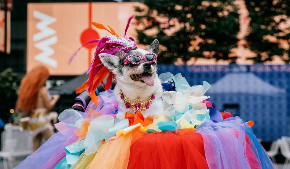 The 6th annual dog-friendly Pride fest takes over Manhattan West this Saturday — featuring 3 hours of free drag shows, crafts, and a pet catwalk