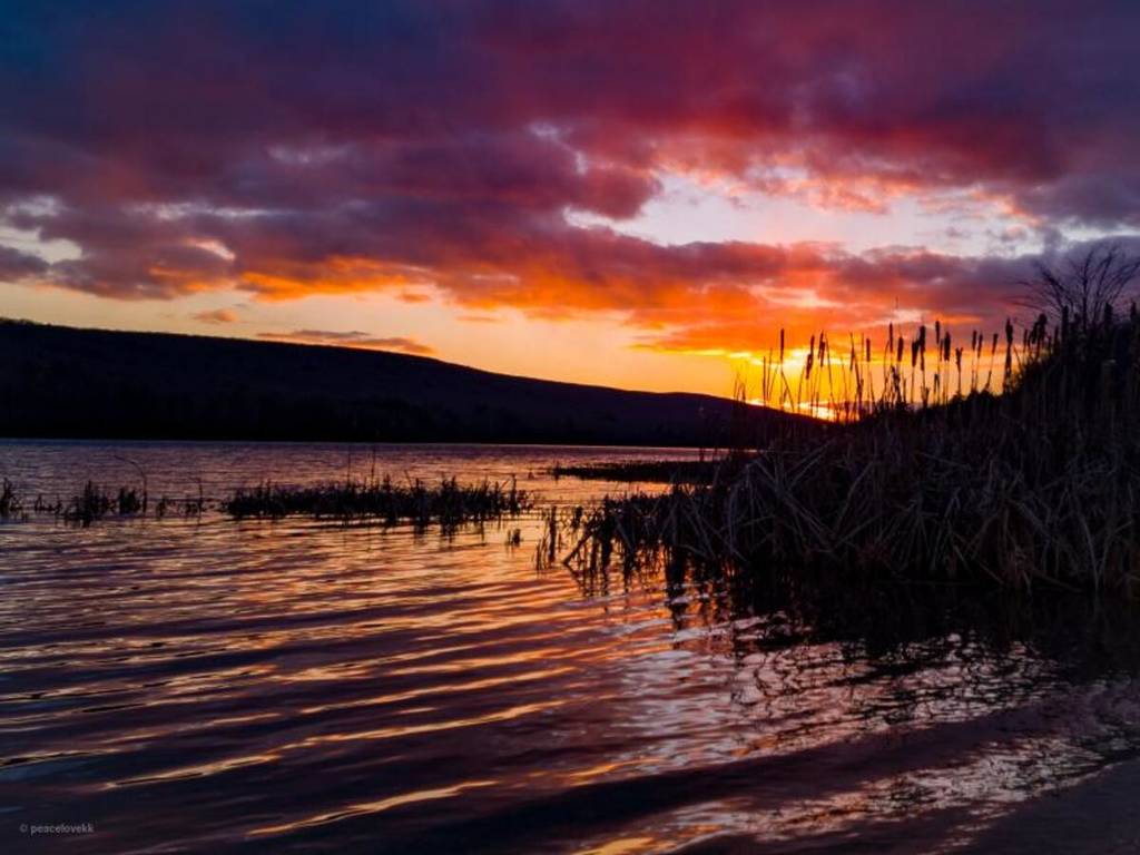 Mauch Chunk Lake Park is het ultieme alternatief voor de drukke trottoirs in de stad — met 3.400 hectare bos, toegang tot het strand voor $10 en historische wandelroutes