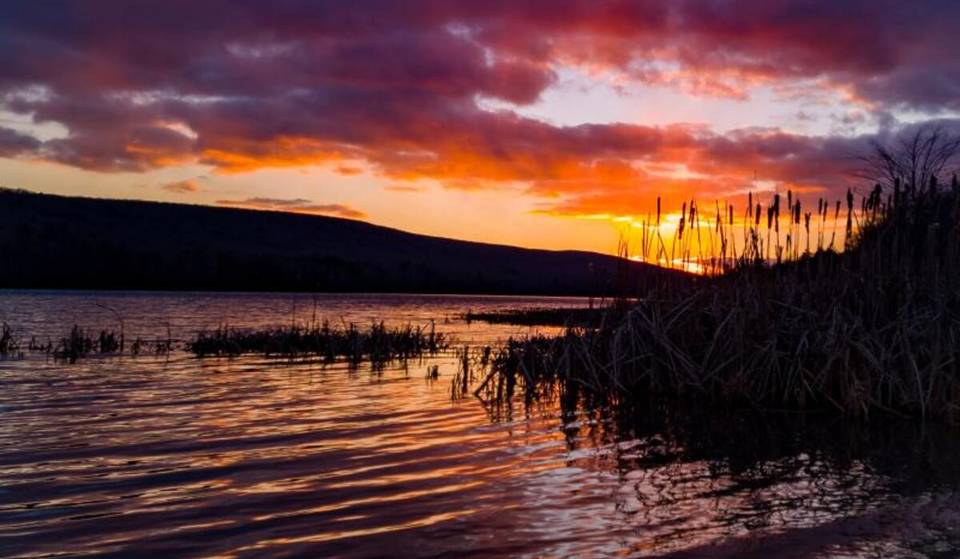 Mauch Chunk Lake Park is the ultimate alternative to crowded city sidewalks — with 3,400 acres of forestland, $10 beach access and historic hiking routes