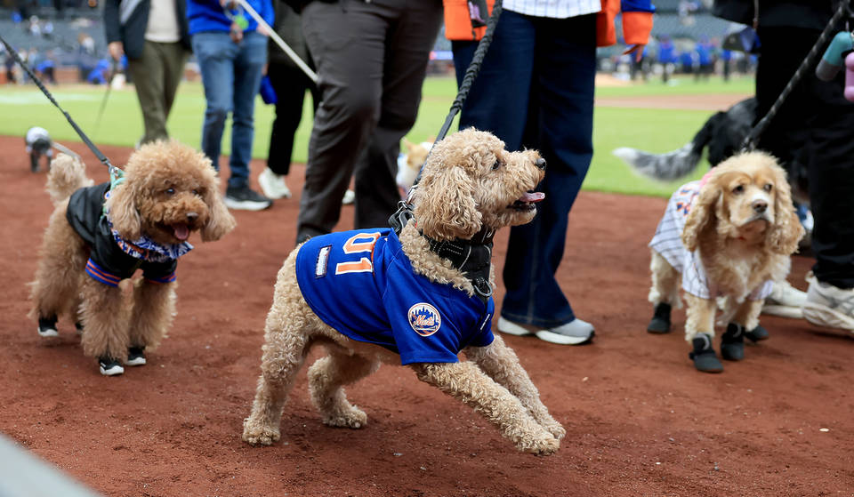 De Mets organiseren deze maand 7 geweldige thema-avonden in Citi Field — en de eerste 15.000 fans krijgen deze exclusieve stadion-giveaways
