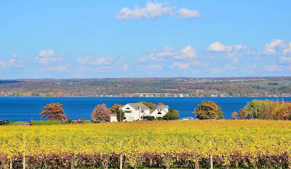 Moins bondé que Napa : selon National Geographic, ce lac new-yorkais, avec plus de 10 domaines viticoles au bord de l’eau, est l’escapade de week-end par excellence en plein été