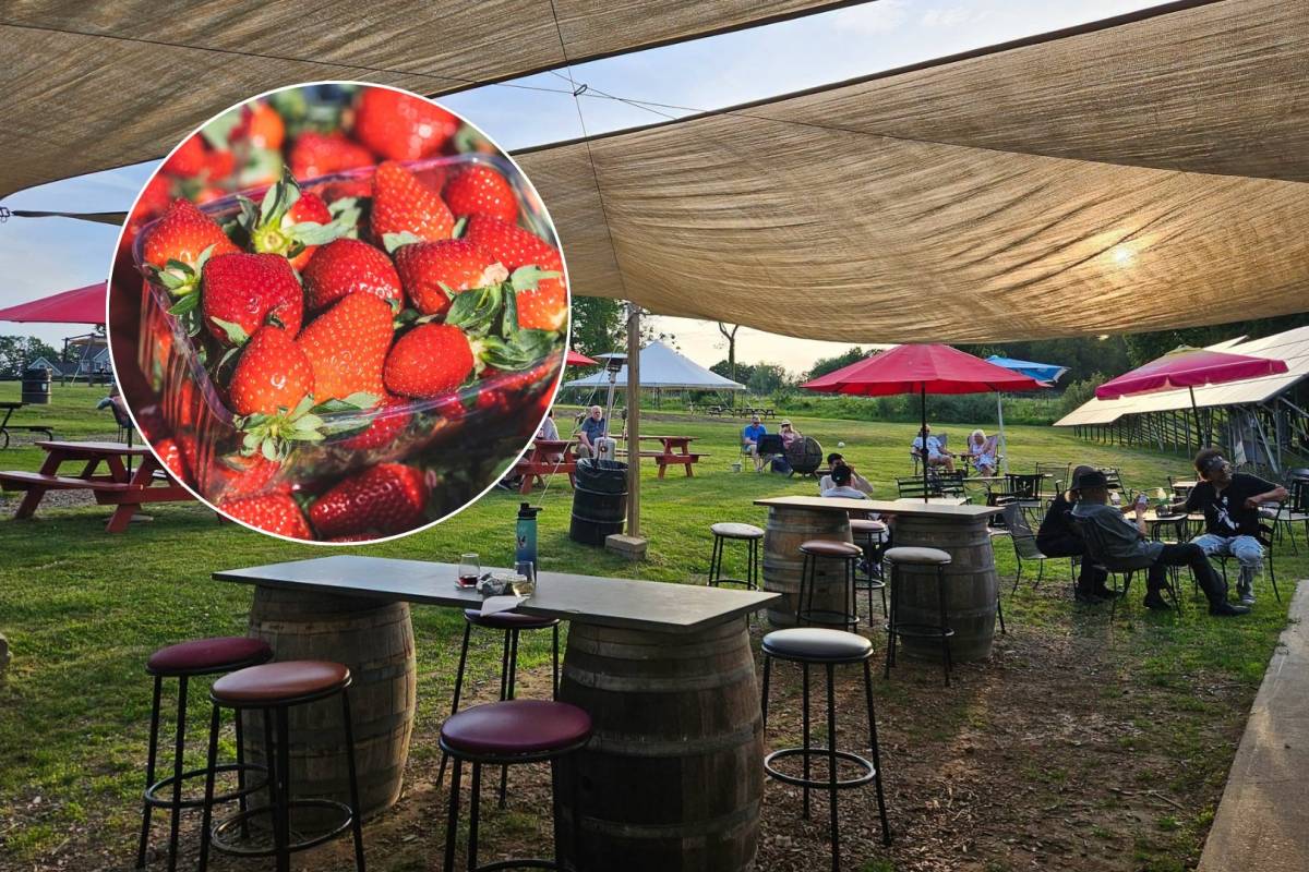 Only 2 hours from NYC: Connecticuts winery of the year is transforming into a massive summer strawberry festival this weekend only with 15 food trucks and free admission