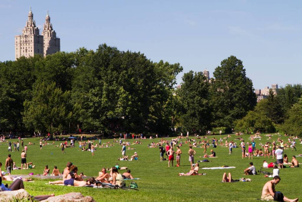 Menschen genießen einen sonnigen Tag im Central Park, New York City, mit üppigen Bäumen und der ikonischen Skyline