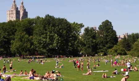 People enjoying a sunny day in Central Park, New York City, with lush trees and iconic skyline