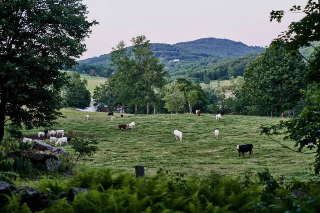 Après avoir longtemps été un secret bien gardé du comté de Delaware, ce hameau isolé attire désormais de célèbres auteurs de livres de cuisine dans ce village agricole de 658 habitants