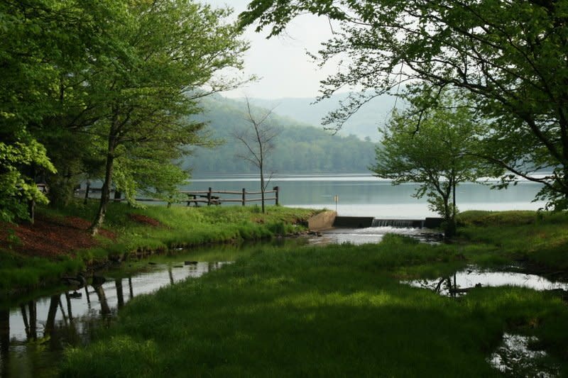Mongaup Pond Campground