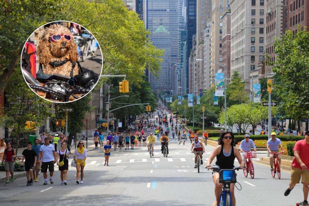 NYC Summer Streets