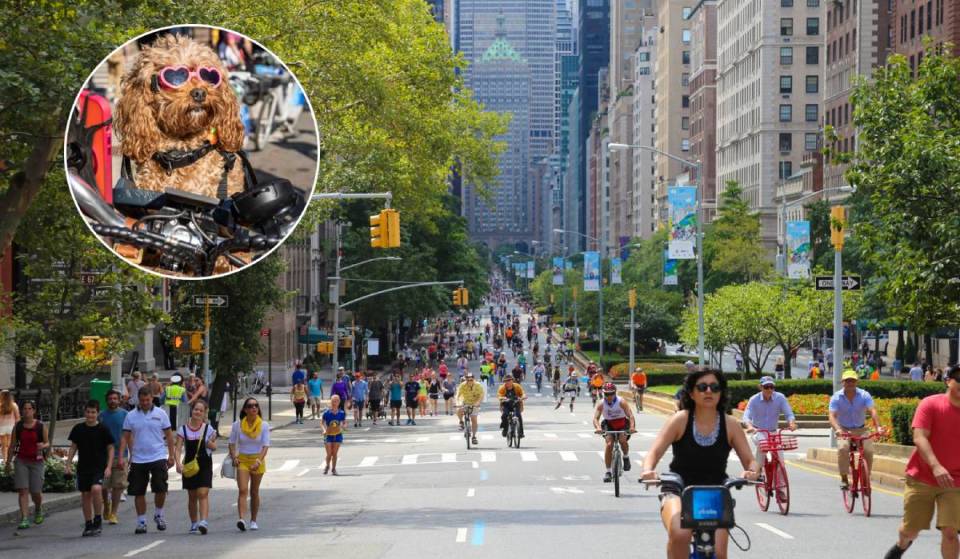 Nova York vai fechar mais de 20 milhas de ruas para carros na “maior festa de rua de Nova York” pela última vez neste fim de semana – com descontos na Citi Bike, shows ao vivo e programação comunitária gratuita