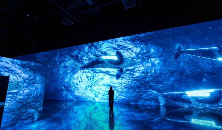 Pendant 21 jours seulement : « BTS THE CITY ARIRANG » investit une exposition exclusive à Chelsea Piers — où des cascades numériques gigantesques et des œuvres d’art prennent vie