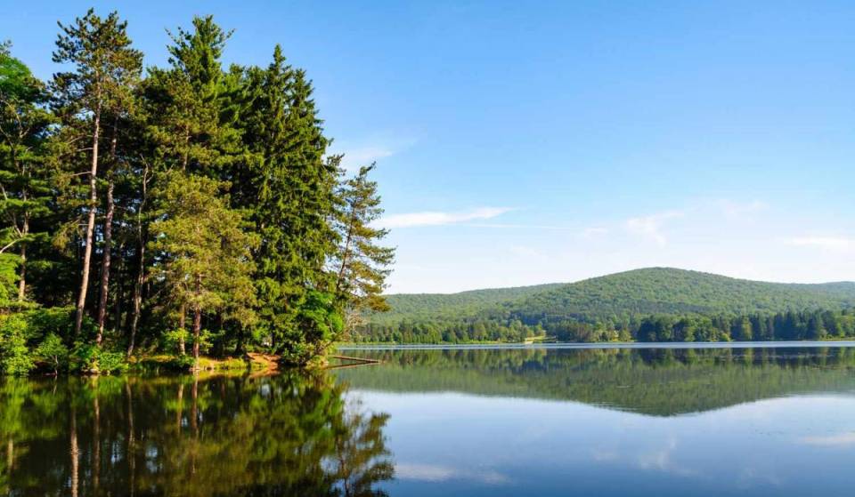 Il parco statale più grande di New York è una landa selvaggia preistorica di 65.000 acri con un’antica “città di roccia”, grotte nascoste dove vivono gli orsi e spiagge sabbiose in riva al lago, perfette per una fuga estiva