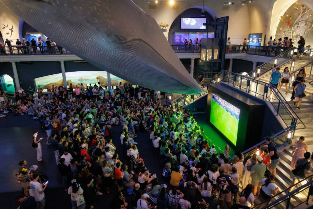 L’American Museum of Natural History di New York trasmetterà la finale dei Mondiali questa domenica sotto la sua famosa balena blu alta 94 piedi