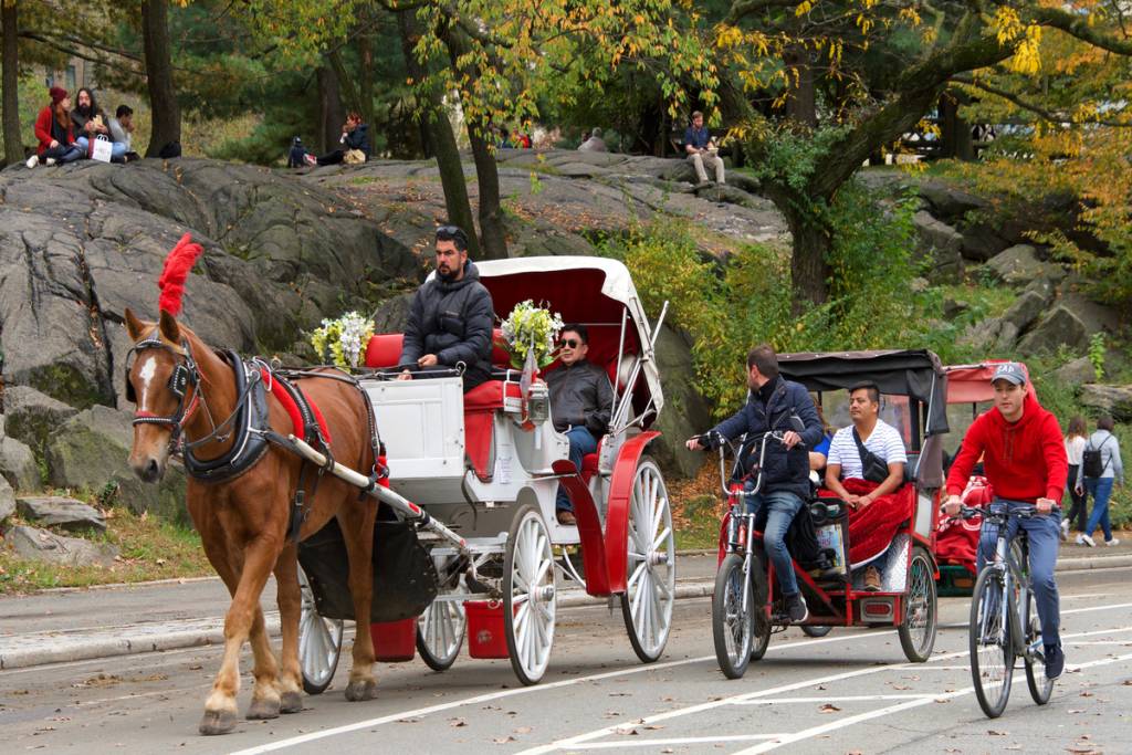 Um novo projeto de lei pode proibir as carruagens puxadas por cavalos no Central Park até 2028