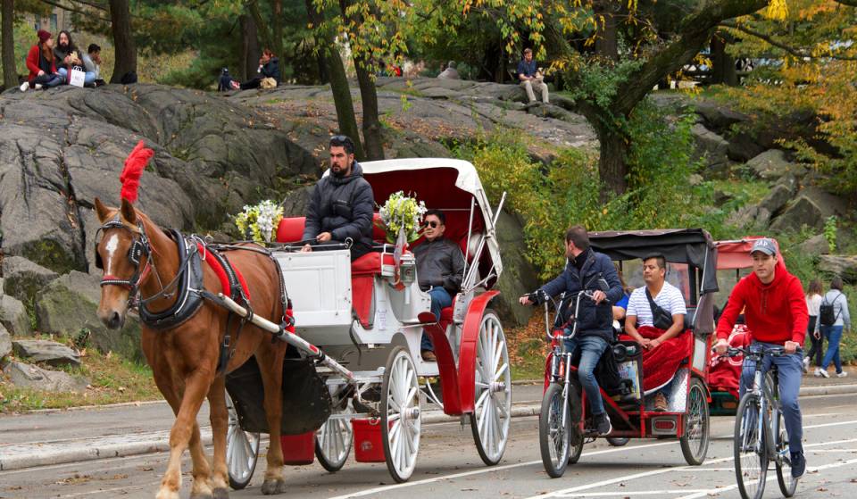 A new bill could ban horse-drawn carriages in Central Park by 2028
