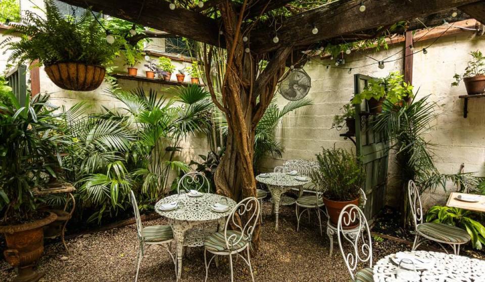 Dieses Juwel in Williamsburg, das zu den besten Open-Air-Bars der Welt zählt, beherbergt die größte Absinth-Sammlung des Landes und über 30 Austernsorten