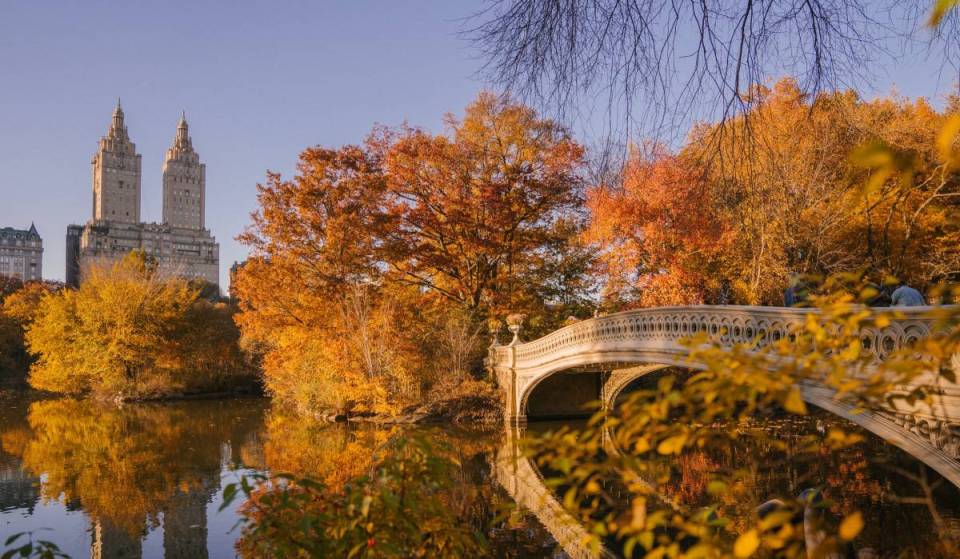 Chilly autumn or extended warmth? Here’s NYC’s mixed fall 2026 outlook