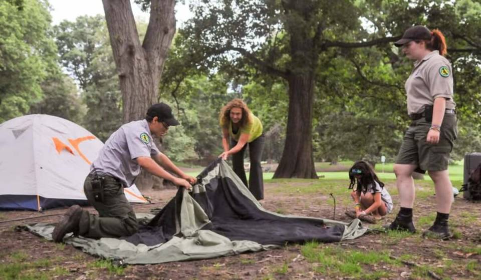 Starting August 2: You can camp under the stars for free in Central Park, Orchard Beach, and other NYC parks if you score a ticket